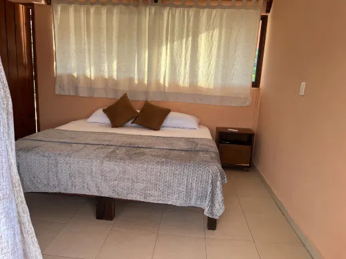 Casa Arecas