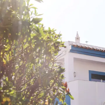 Oasis Beach Apartments