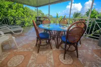 알로하미엔토 컬처럴 데르마스 인