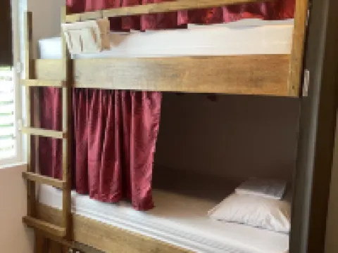 Royal Rat Hostel Hotels in Placencia