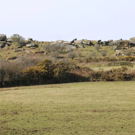 Badgers Sett