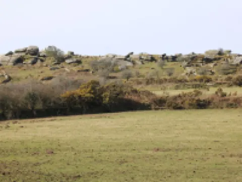 Badgers Sett