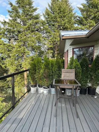 Armand Heights Отели в г. Солт Спринг Айленд