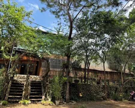 Thanh Binh Homestay Mang Den 47TC 公伯隴酒店