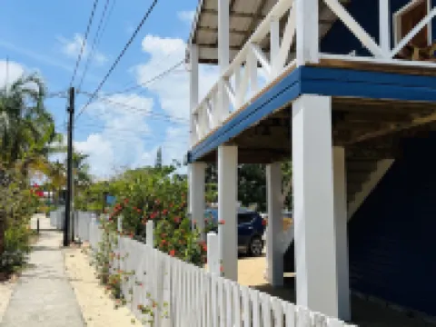 The Flying Toucan Hotels in Placencia