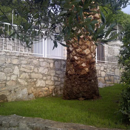 Apartments Villa Sonia & Teo Hvar