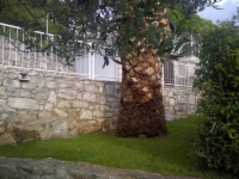 Apartments Villa Sonia & Teo Hvar