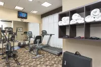 Holiday Inn AURORA NORTH- NAPERVILLE by IHG - Gym