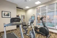 Holiday Inn AURORA NORTH- NAPERVILLE by IHG - Gym