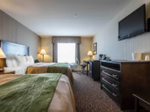 Comfort Inn & Suites Hotels in Guildford