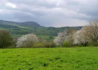 Wohnung Nahe Inselsberg Wanderwege