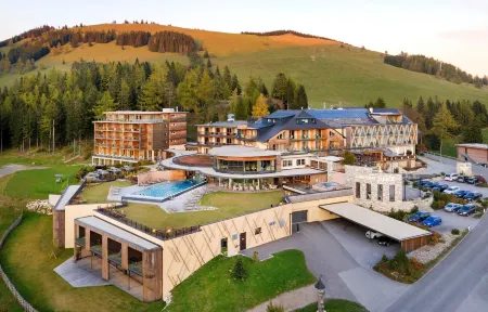 Almwellness Hotel Pierer Отели в г. Капфенберг