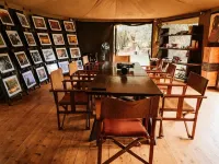 Soroi Luxury Migration Camp Hotels in Mara