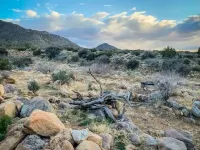 The Coyote Den #2: Experience Arizona Agritourism