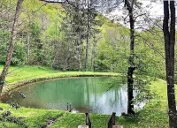 Creekside Cabin - Private 20 Acres with Pond & Creek