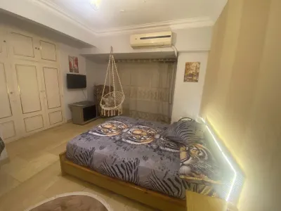 Central beautiful apartment with Nile view /jacuzzi in the center of Cairo Hotels near Giza Zoo