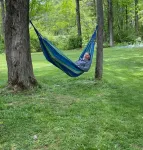 Amazing Cabin in the Finger Lakes!  Hiking, Wineries, Restaurants..Etc!  Pets ok