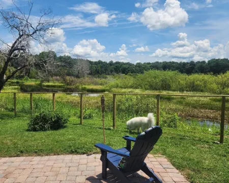 Charming lakefront 3BR 3BA house w/ EV chg in heart of Mt. Dora. Nature abounds. Hotels in Mount Dora