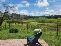Charming lakefront 3BR 3BA house w/ EV chg in heart of Mt. Dora. Nature abounds.