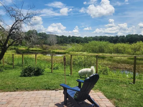 Charming lakefront 3BR 3BA house w/ EV chg in heart of Mt. Dora. Nature abounds.