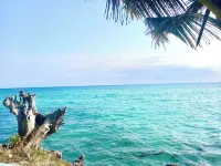 Miska Zanzibar - Bed and Breakfasts