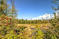 Spacious Twin Mountain Vacation Rental on 5 Acres! - parking