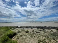 Cosy flat behind a Creek Beach in Gray's Hotels in Grays