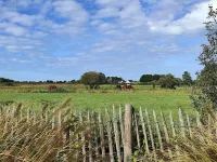 Single-storey wooden house with swimming pool near the beach Hotels in Erdeven