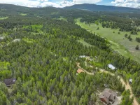 Charming mountain cabin located just minutes from Golden Gate Canyon State Park