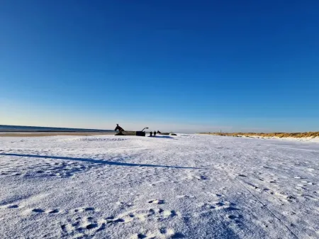 Holiday Home in Blåvand