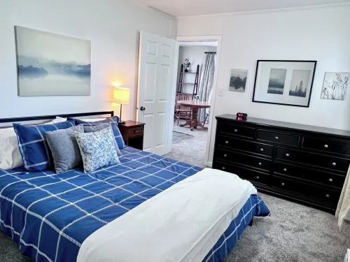 Pets, 30+days, Queen, ground lvl near ATSU, TSU, NRMC