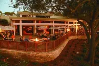 Cozy 1-bedroom condo in the heart of Innisbrook prestigious Golf Course’s - 3つ星