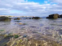 Sun and Sea apartment - Fully Equipped Spacios One Bedroom Apartment Hotels in Sozopol