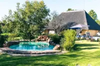Hoopoe Haven Guest House - piscina