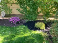 Charming, Convenience and Comfort - Minutes from Downtown Rochester Hotel a Irondequoit