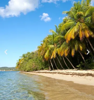 Apartment Toumalacaï 209 Village kawann Hotels in Grand-Bourg