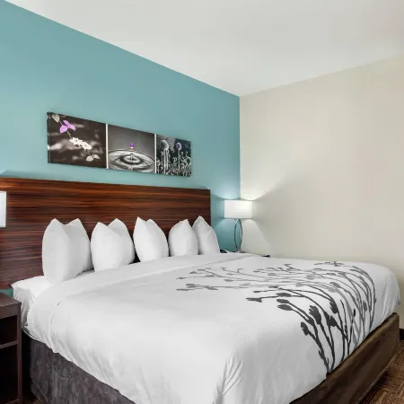 Sleep Inn Lancaster Dallas South
