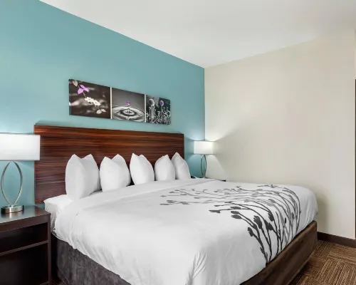 Sleep Inn Lancaster Dallas South Hotels in Lancaster