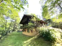 Chalet in La Bresse with Mountain Views