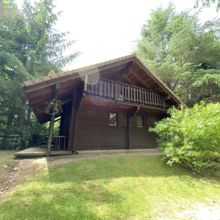 Chalet in La Bresse with Mountain Views