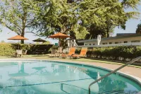 El Bonita Motel Hotels in St. Helena