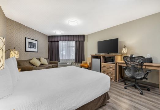 베스트 웨스턴 플러스 컨트리 매도우스 객실 이미지