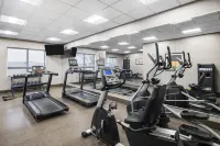 Best Western Premier Freeport Inn Calgary Airport - gimnasio