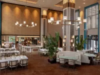 ألتونيزاد سويتس إسطنبول، مجموعة فنادق كوريو باي هيلتون Hotels near اوسكودار