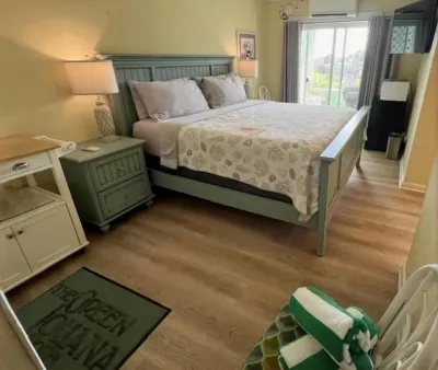 綠鬣蜥酒店 酒店