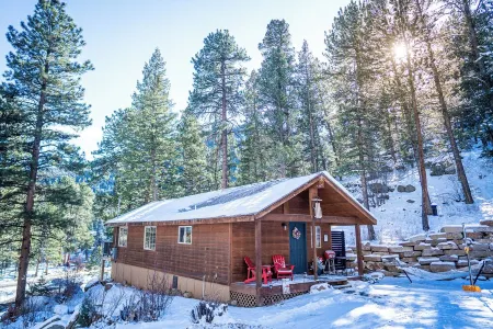 Private Hiking Trail! 2.4 Miles to Estes Park, Near Rmnp w/ King Bed. Dogs ok!