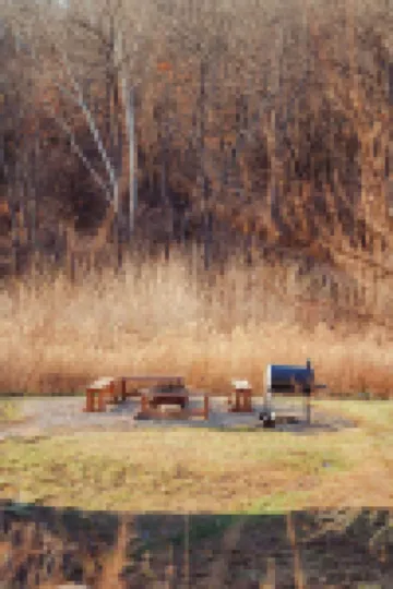 Cedar Wrapped Cozy Villa Cabin - 4 Miles From Trails