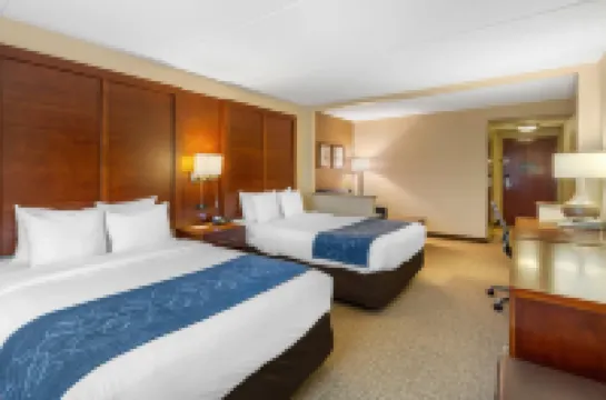 コンフォート スイーツ マナッサス バトルフィールド パーク