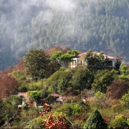 Auranya: the Himalayan Jungle Retreat