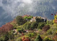 Auranya: the Himalayan Jungle Retreat - Parkering